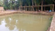 Pemancingan Sapuluh Ribeng plesetan dari sepuluh ribu. Artinya tarif untuk bisa memancing ikan lele merogoh kocek Rp 10 ribu