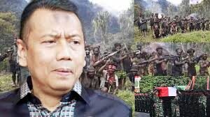 Kapitra Ampera menyebutkan bahwa di Papua tidak ada Kelompok Kriminal Bersenjata (KKB), namun yang ada adalah teroris dan separatis