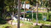 tempat wisata wahana Akbar Zoo Banyuwangi tetap buka. Namun pihak managemant memberlakukan secara ketat protokol kesehatan (Prokes)