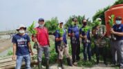 tiga elemen masyarakat yakni HIPMI, Imanu, dan HPNSI mengadakan aksi peduli lingkungan menanam 1.000 bibit mangrove di bantaran Sungai